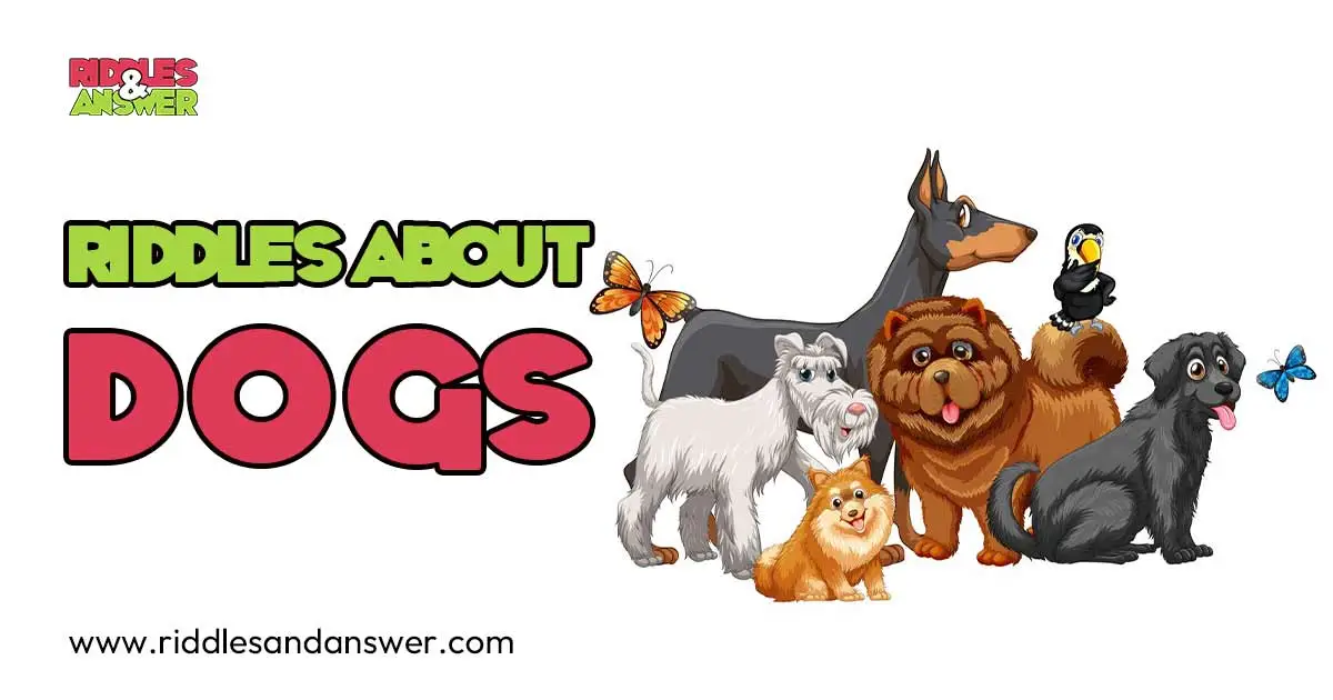 Disney Riddles Dogs Riddles About Dogs with Answers 2026 | Fun Brain Teasers
